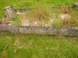 image of grave number 809050
